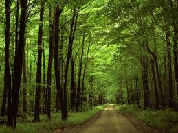 សហជីពពលករវៀតណាមជាមួយភារកិច្ចបង្កើតការងារធ្វើបៃតង។